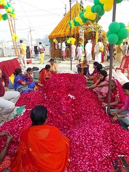 à¤«à¥‚à¤² à¤¬à¤‚à¤—à¤²à¤¾